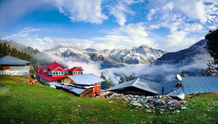 cover for Homestays In Chail