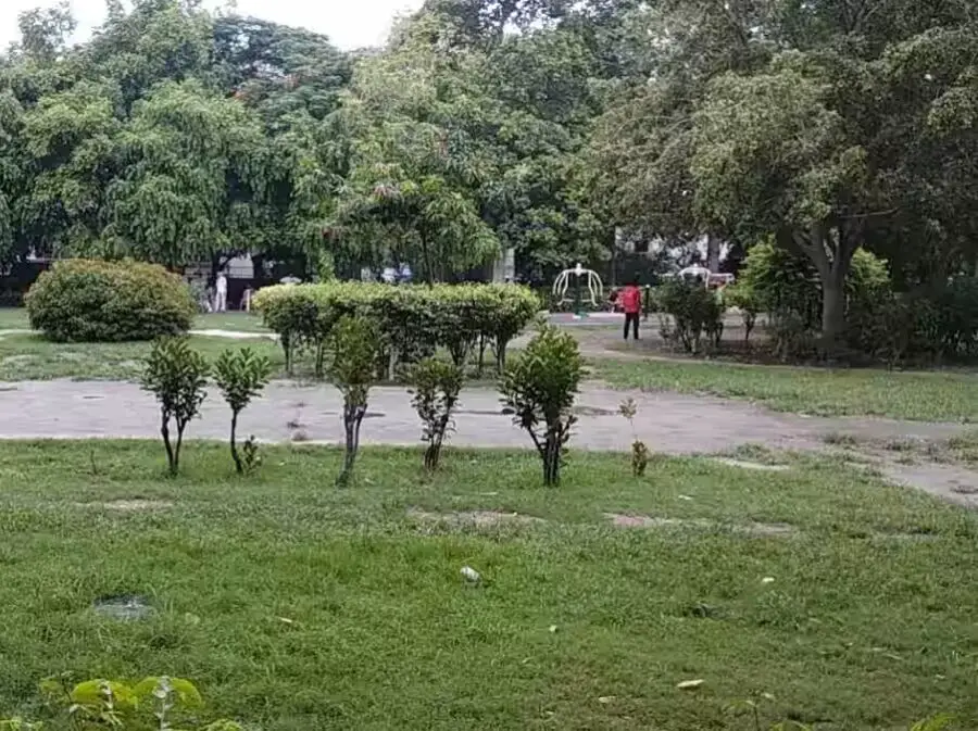 madhuban park patparganj delhi parks lkjwh5fu66
