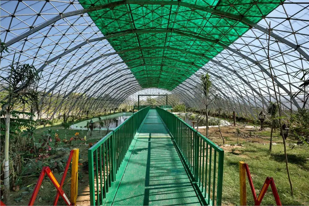 1 India Exotic Aviary Geodesic Dome Revised 1