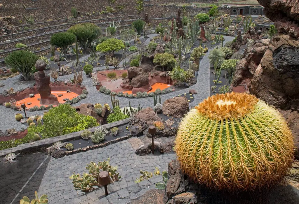 Cactus Garden Lanzarote Pixabay 1