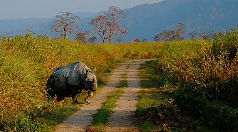 places to visit near guwahati within 100 kms