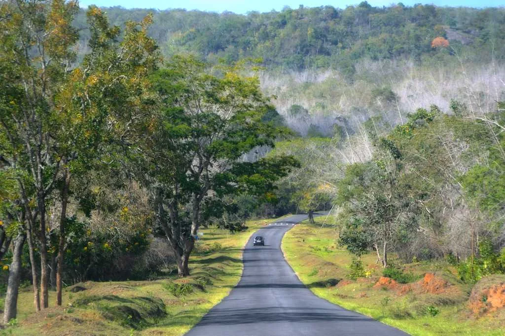 bangalore to ooty road trip