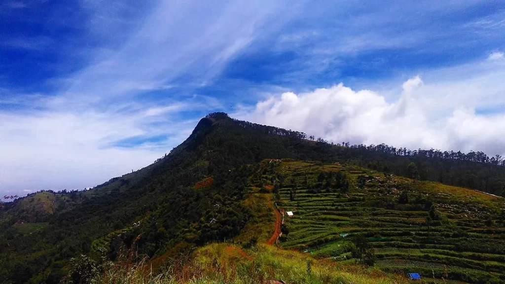 tourist places near palani