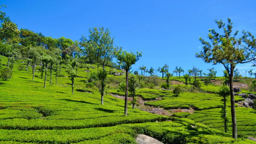 tourist places near palani