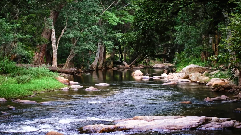 udumalaipettai tourist places