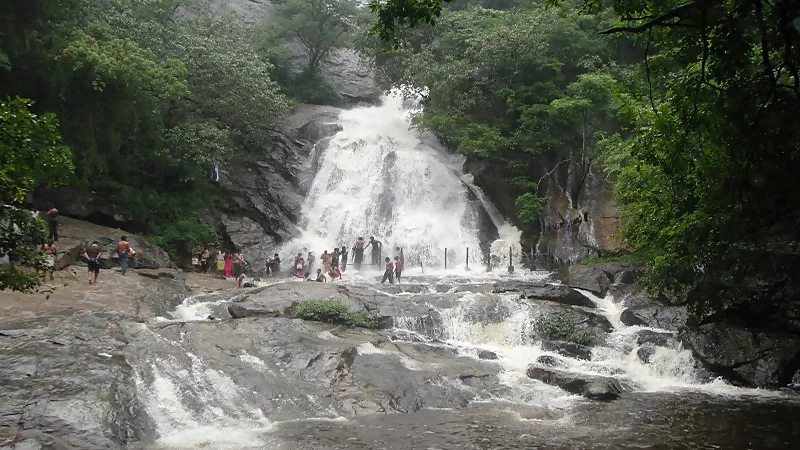 monkey falls