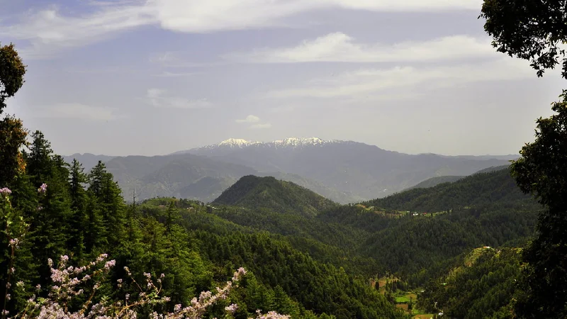 hill stations near ludhiana