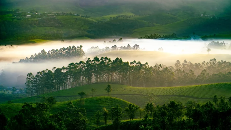 Hill Station in South India