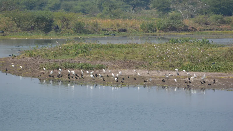 Mhaismal Hill Station Maharashtra