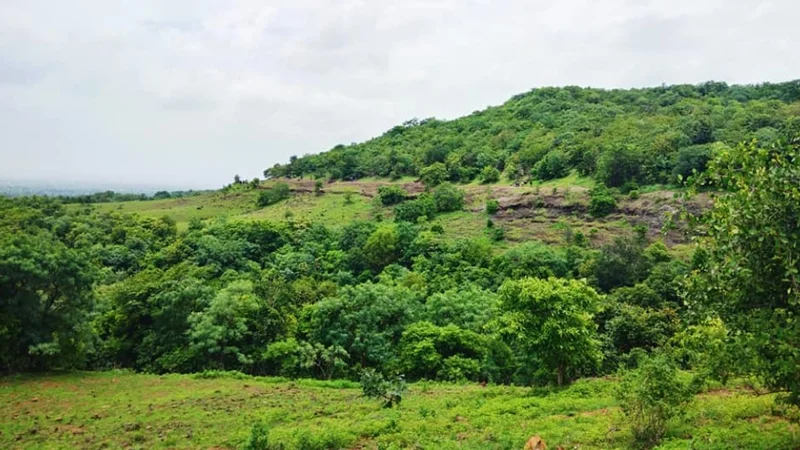 anathagiri hills vikarabad