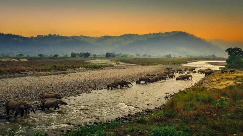 Hill Stations Near Dehradun