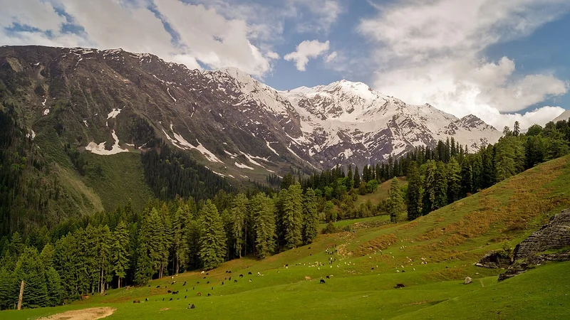 Himalayn National Park 01